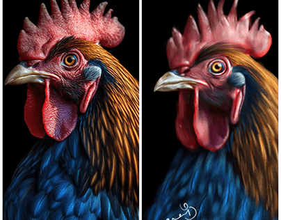 Digital painting of Rooster