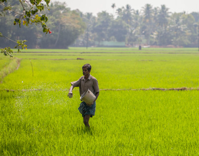 Rural Kerala