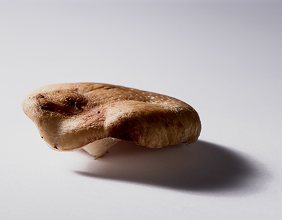 Food photography | Shiitake mushroom