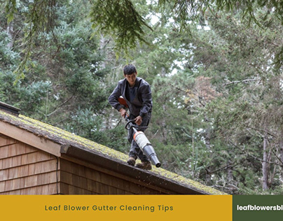 Leaf Blower Gutter Cleaning Tips