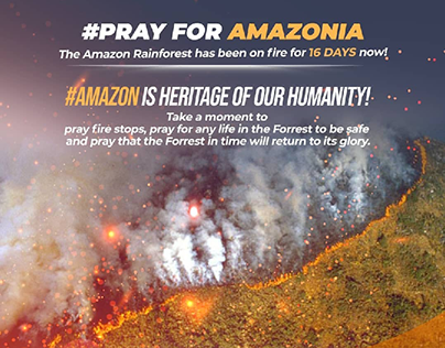 Amazonia wild fires poster design