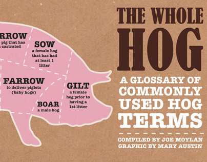 The Whole Hog infographic