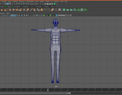 Anatomy - 3D model