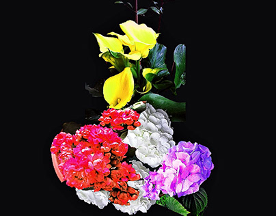 Composizione floreale (Floral composition), 2021