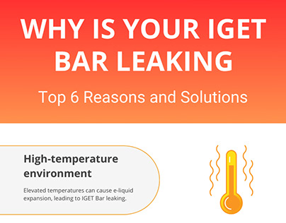 Why Is Your IGET Bar Leaking: Top 6 Reasons & Solutions