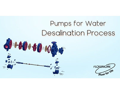 Pumps for Water Desalination Process