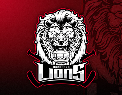 Branding - Les Lions de Bordeaux