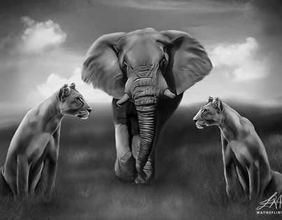 King Elephant Digital Art