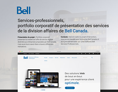 Bell Canada, Services-professionnels