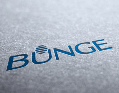 Bunge - Website Design Proposal - 2012