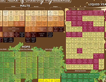 Home Brewing Infographic