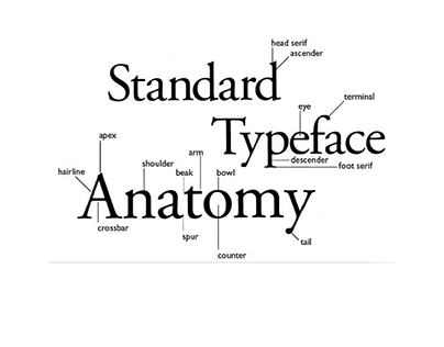 Type Anatomy + Classification Information Graphic