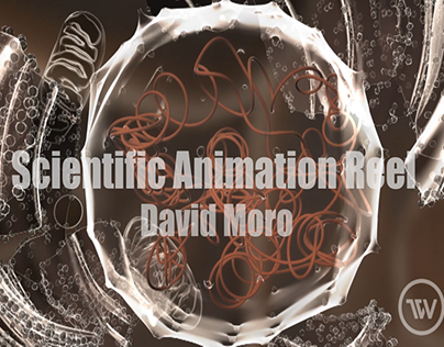 Scientific Animation Showreel 2012