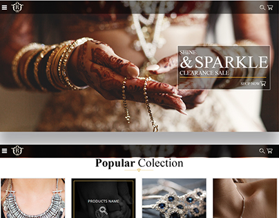 Raga Jewels Website Mockup