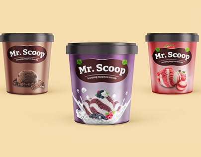 Mr. Scoop Ice Cream Product Design