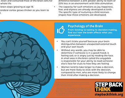 Step Back Think | Fact Sheets