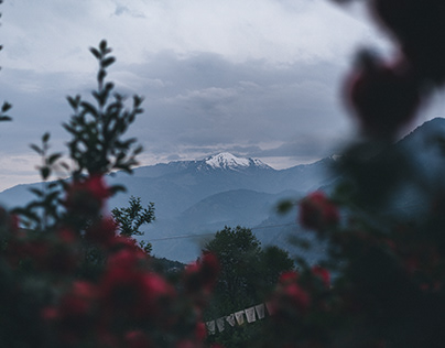 Sajla, Himachal Pradesh