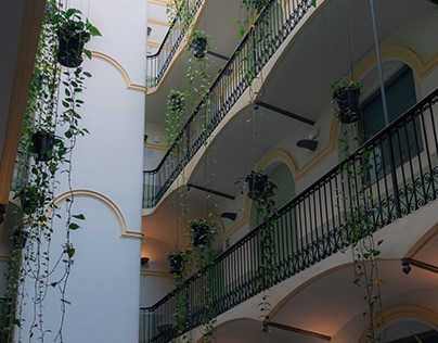 Building interior full of plants