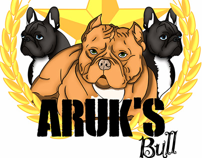 Aruk's Bull project