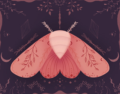 Pink moth lady 12/10/21
