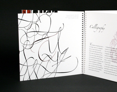 Hermann Zapf Typography Book