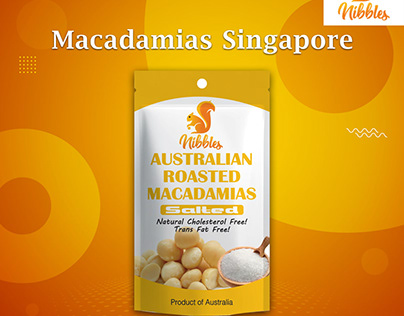 Roasted Salted Macadamia Nuts in Sigapore