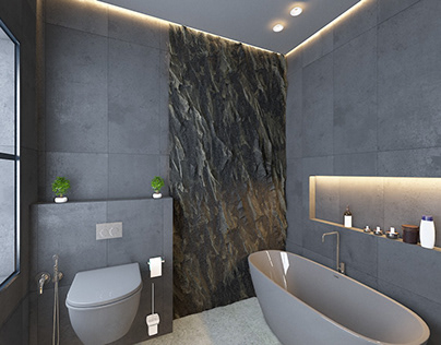 Modern bath room