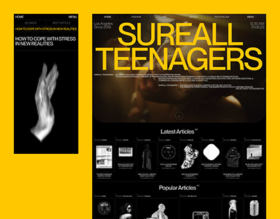 Project thumbnail - Sureall Teenagers