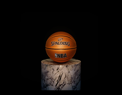Spalding Basketball Exhibitor n.1