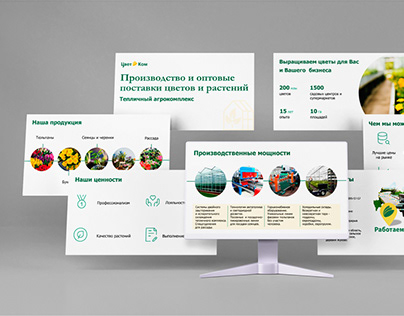 Редизайн презентации агрокомплекса|Redesign