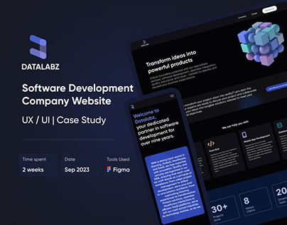 Software Development Company Website UI/UX