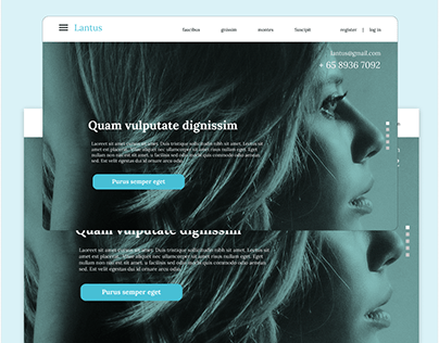UI/UX company website concept