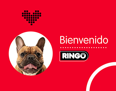 Ringo Revista y social media
