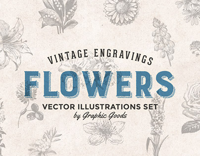 Flowers - Vintage Engraving Illustration Set