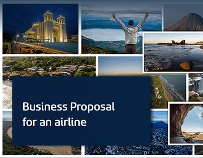 Airline Business Proposal