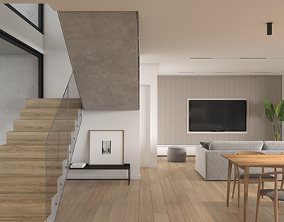 Casa OL interiors - 3D Visualization