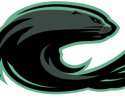Sea Lion Sports Logo For Sale
