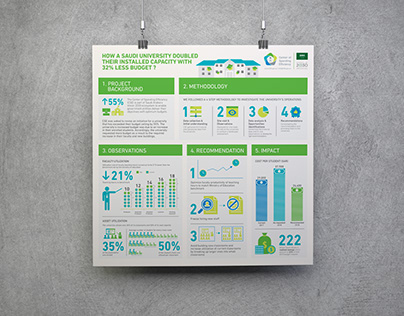 Center for Spending Efficiency Infographic Posters