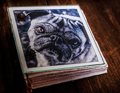 The Glass Book of Otis by Anjani Millet