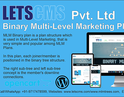 MLM Binary plan | Binary Multi Level Marketing Plan