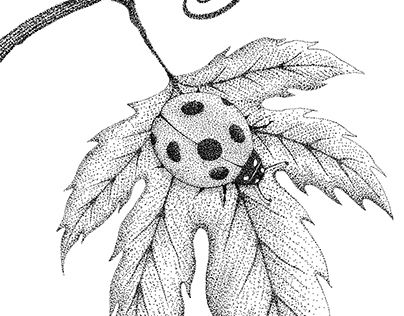 Dotwork ladybugs
