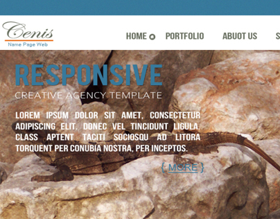 Cenis experimental homepage Web design
