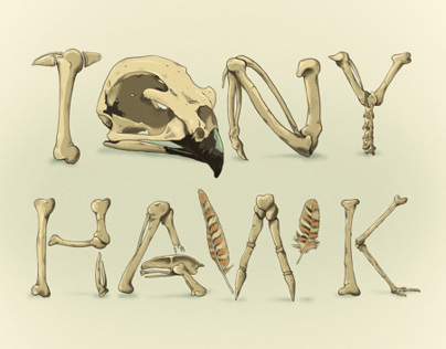 Bones Type "Tony Hawk"