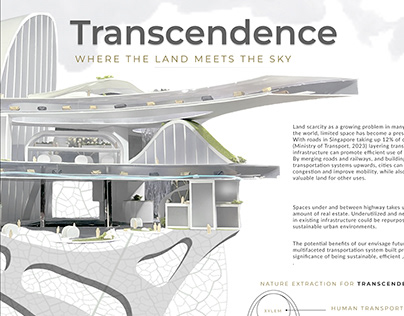 TRANSCENDENCE: Where the land meets the sky