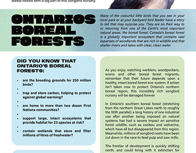 Ontario's Boreal Forests - fact sheet