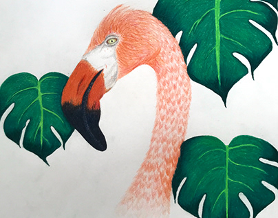 Tropical flamingo
