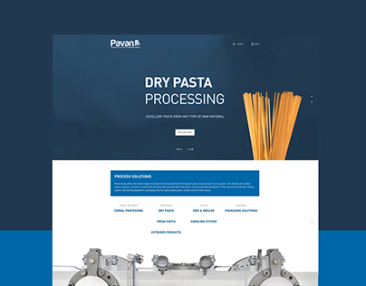 Pavan 2015 website