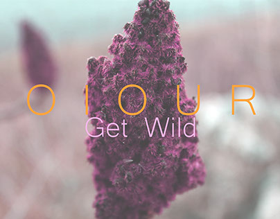COlOURS: Get Wild