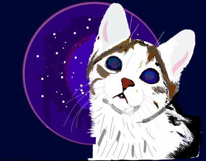 Cosmos cat