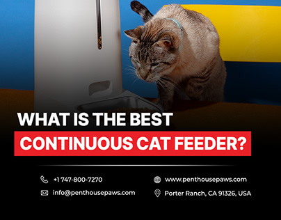 What is the best continuous cat feeder?